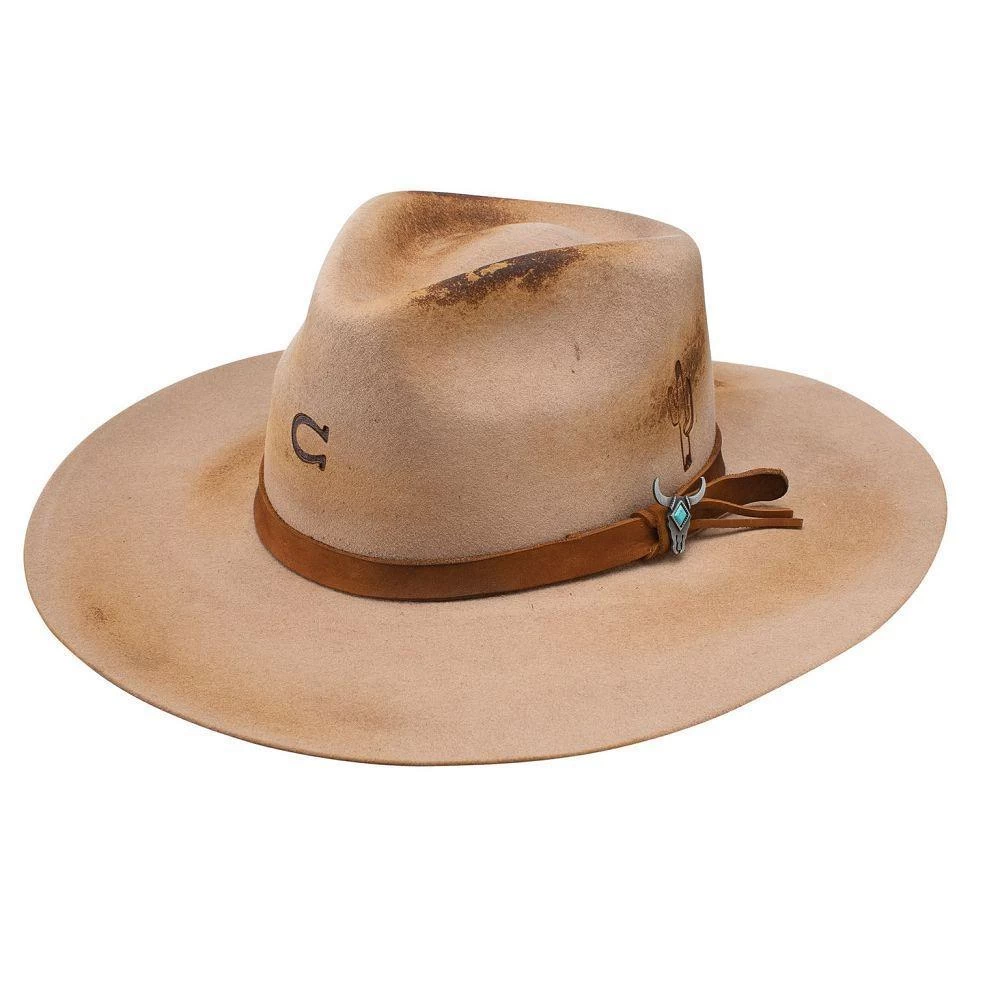 Charlie 1 Horse Lakota Sand