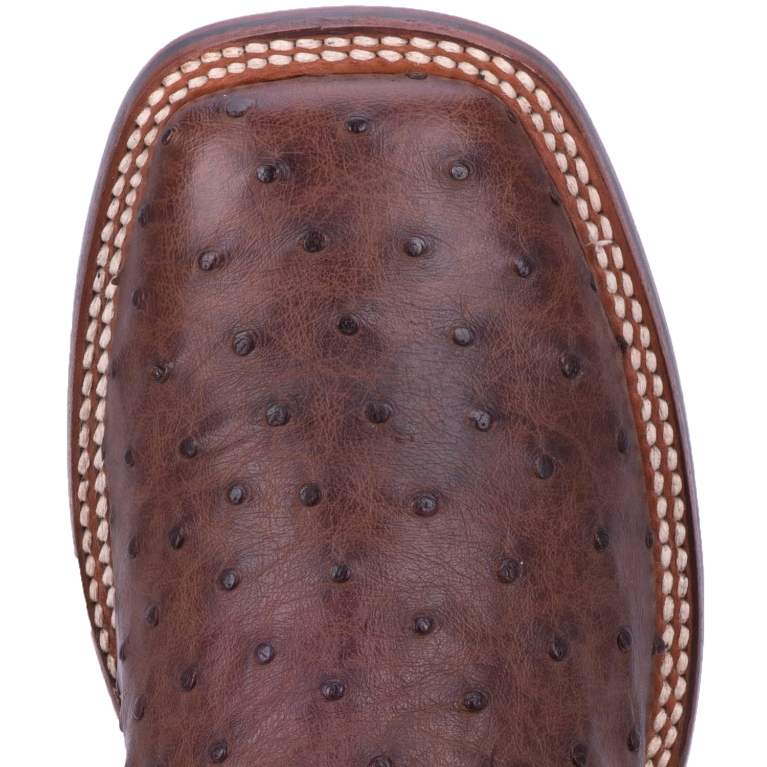 Dan Post Dan Oost Ostrich Print Boot - Image 3