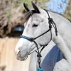 Kensington Clinical Rope Halter - Atlantis