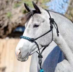 Kensington Clinical Rope Halter - Atlantis