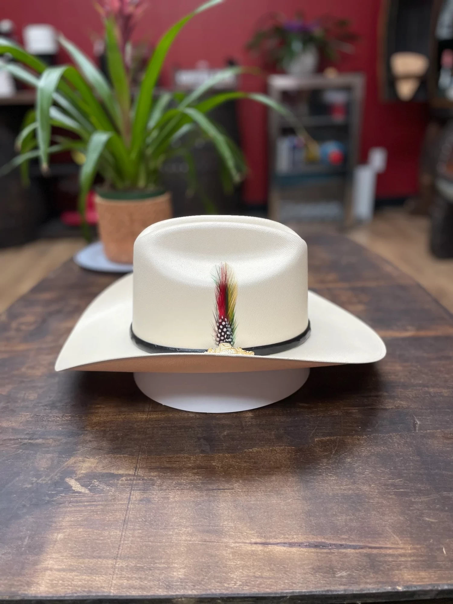 TOMBSTONE 10,000X CHAPARRAL - Image 2