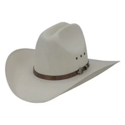 Federcion Mexicana De Charreria Tombstone 30X La Manga